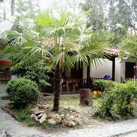 Camping Elizabeth Ξενοδοχείο Kalyvia Varikou Εξωτερικό φωτογραφία